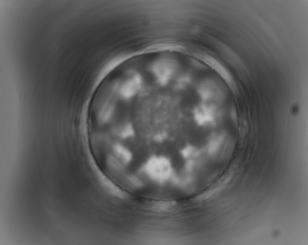 X0000100401055200807032009