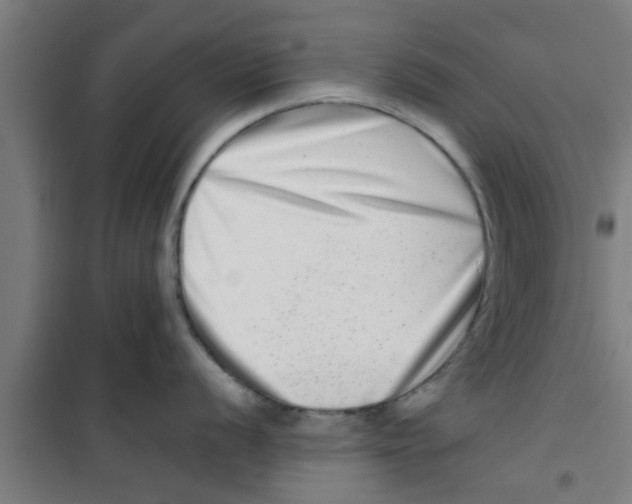 X0000100401056200807032009