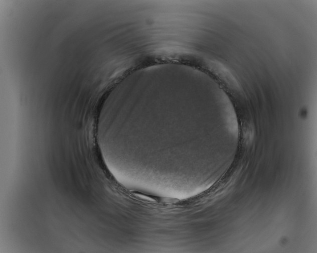 X0000100401060200807032008