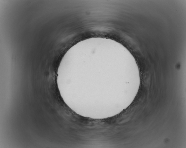 X0000100401061200807032008