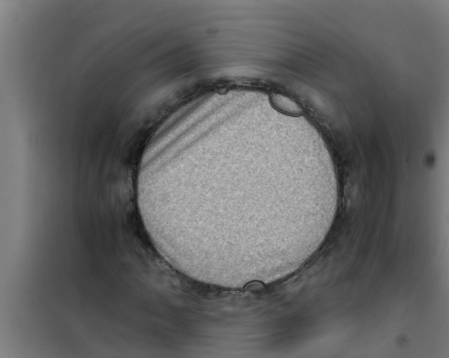 X0000100401062200807032008