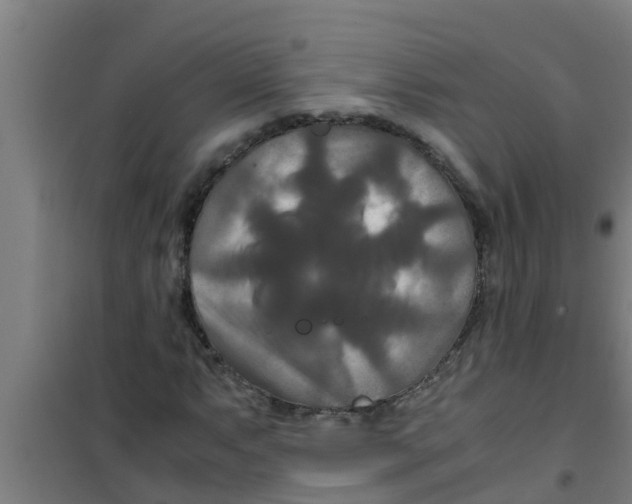 X0000100401063200807032008