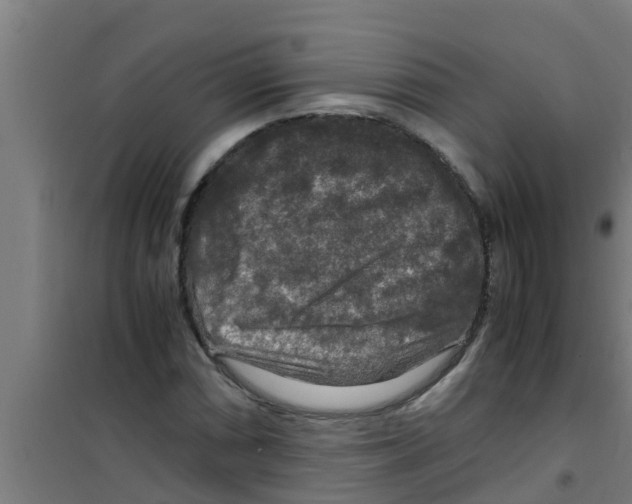X0000100401066200807032008