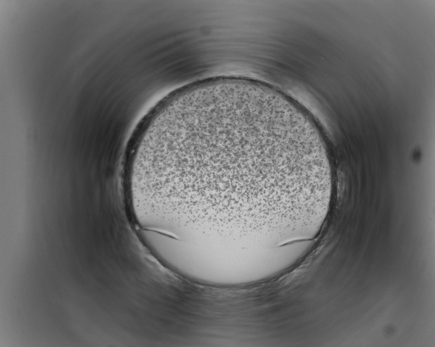 X0000100401068200807032008