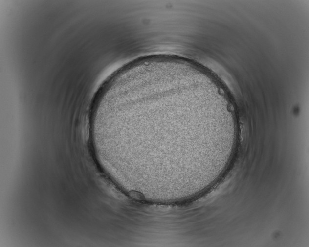 X0000100401069200807032008