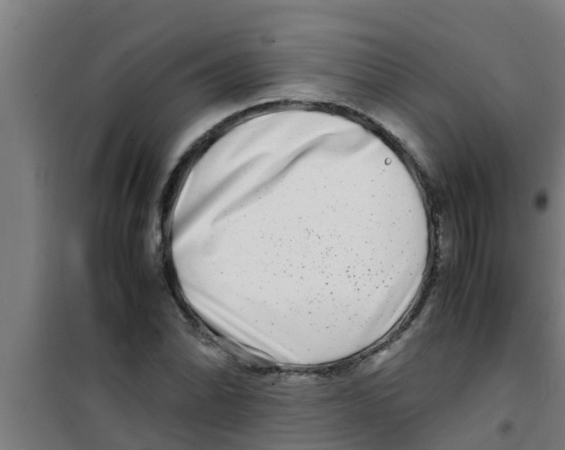 X0000100401070200807032008