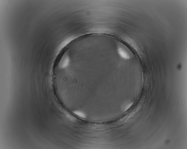 X0000100401071200807032008