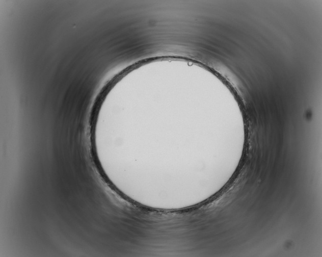 X0000100401072200807032008