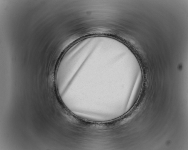 X0000100401073200807032008
