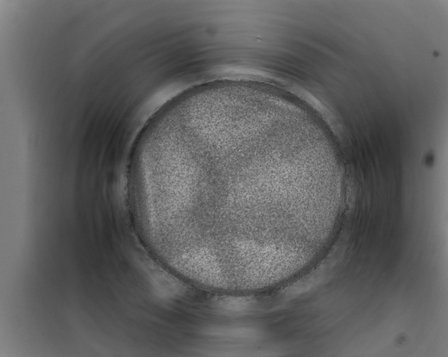 X0000100401074200807032008