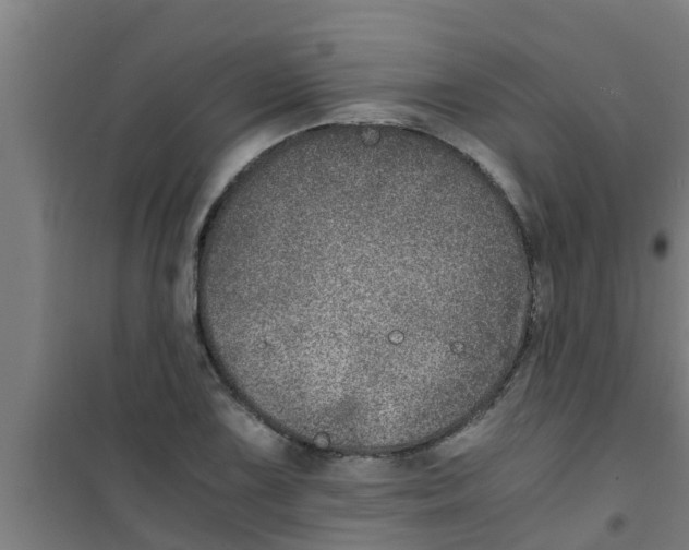 X0000100401075200807032008
