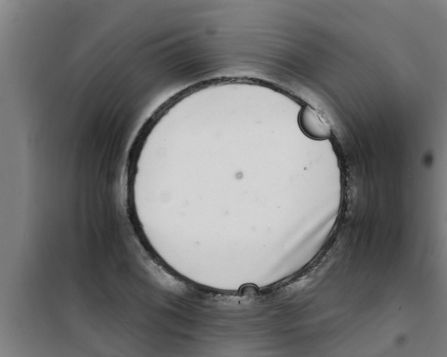 X0000100401076200807032008