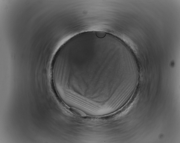 X0000100401077200807032008