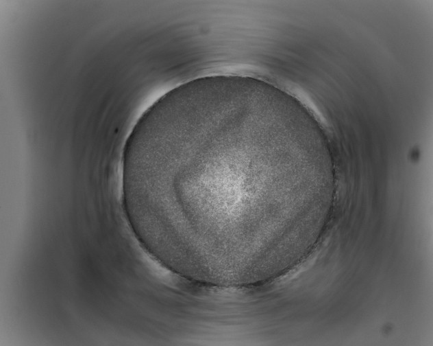 X0000100401079200807032007