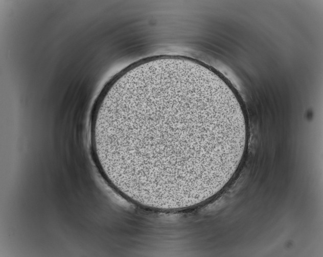 X0000100401080200807032007