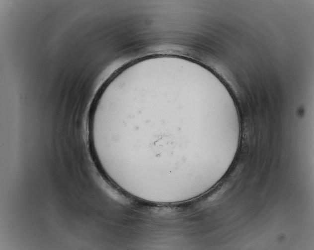 X0000100401082200807032007