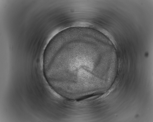 X0000100401083200807032007