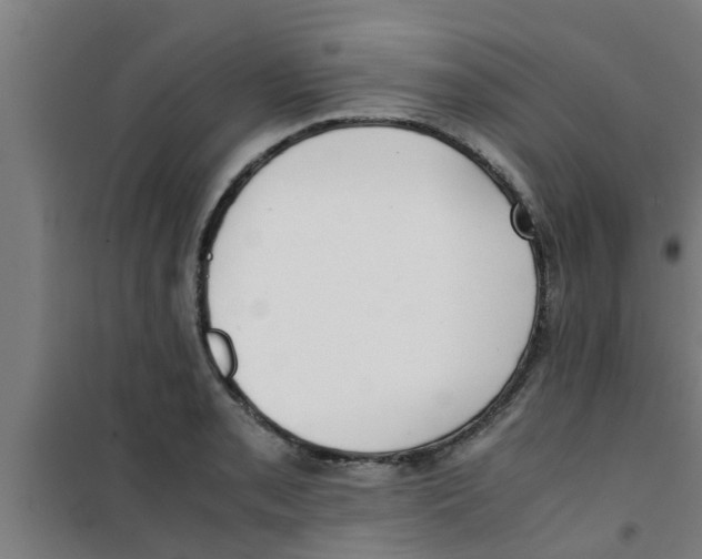 X0000100401085200807032007