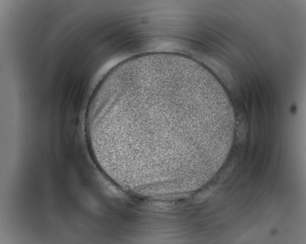 X0000100401086200807032007