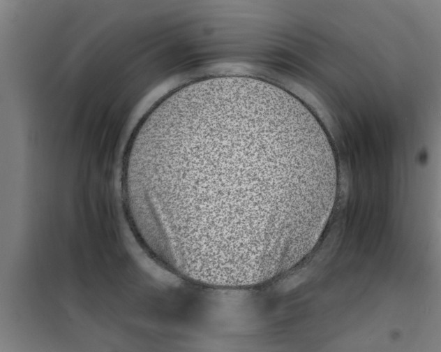 X0000100401090200807032007