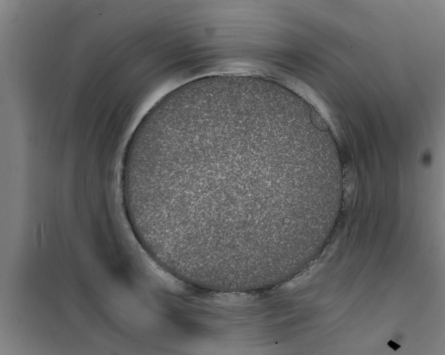 X0000100401091200807032007
