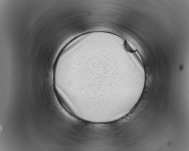 X0000100401092200807032007