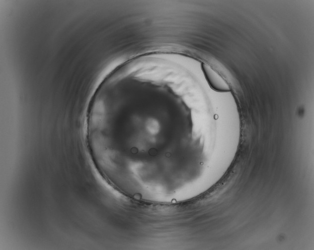 X0000100401095200807032007
