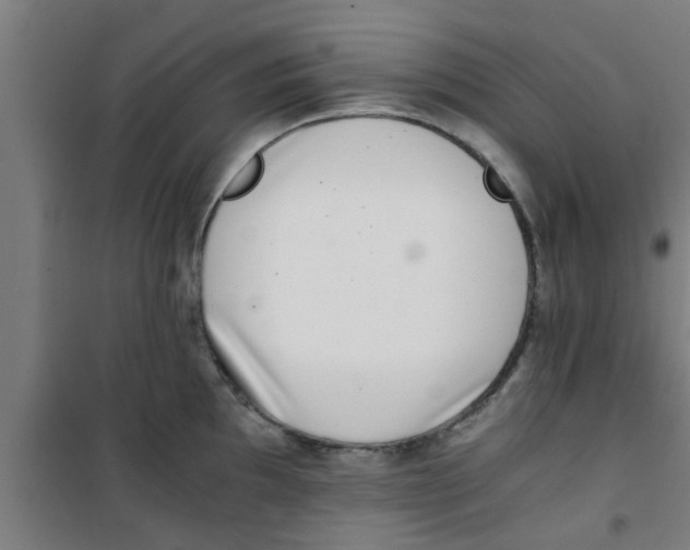 X0000100401097200807032007
