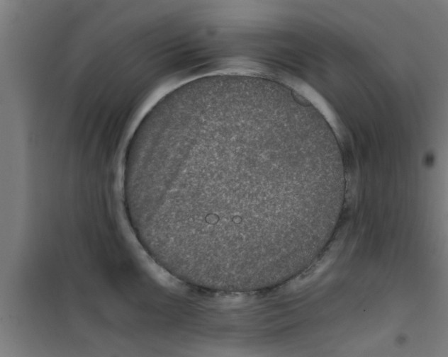X0000100401099200807032007
