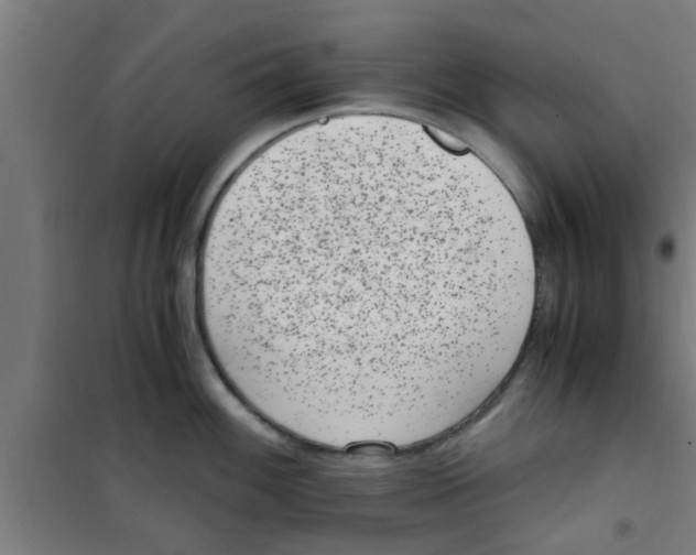 X0000100401100200807032007
