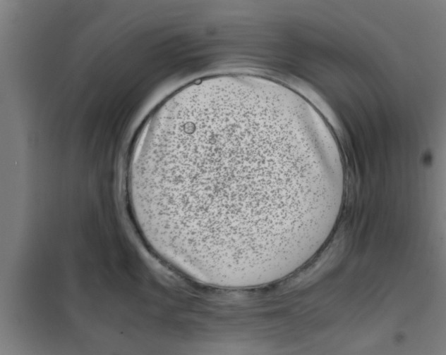 X0000100401101200807032007