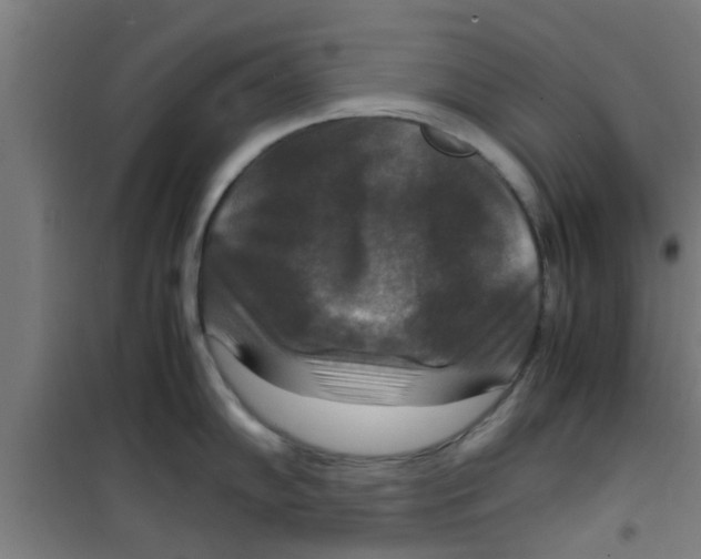 X0000100401102200807032007
