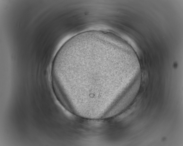 X0000100401103200807032007