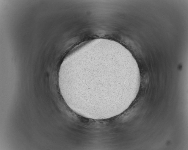 X0000100401105200807032006