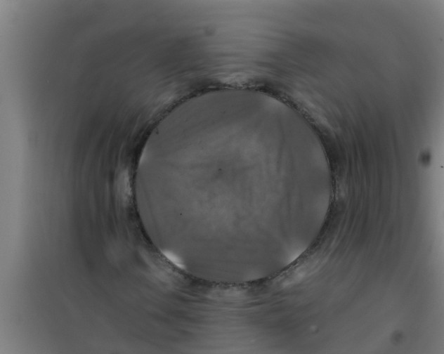 X0000100401106200807032006
