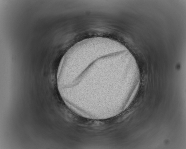 X0000100401109200807032006