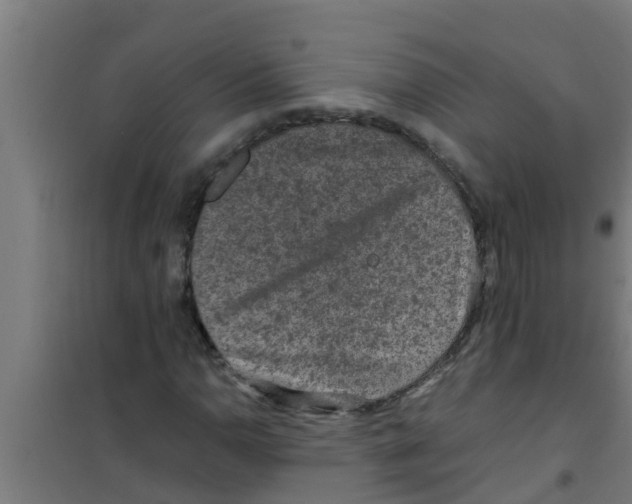 X0000100401110200807032006
