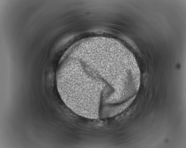 X0000100401111200807032006