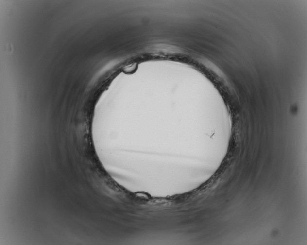 X0000100401112200807032006
