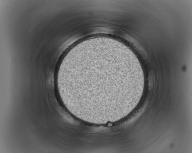 X0000100401113200807032006