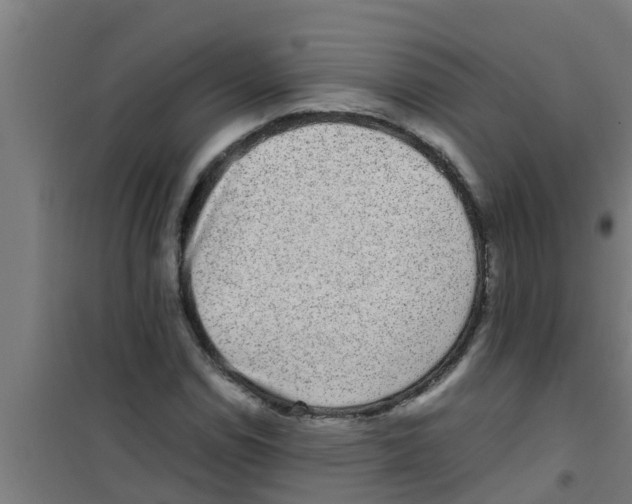 X0000100401114200807032006