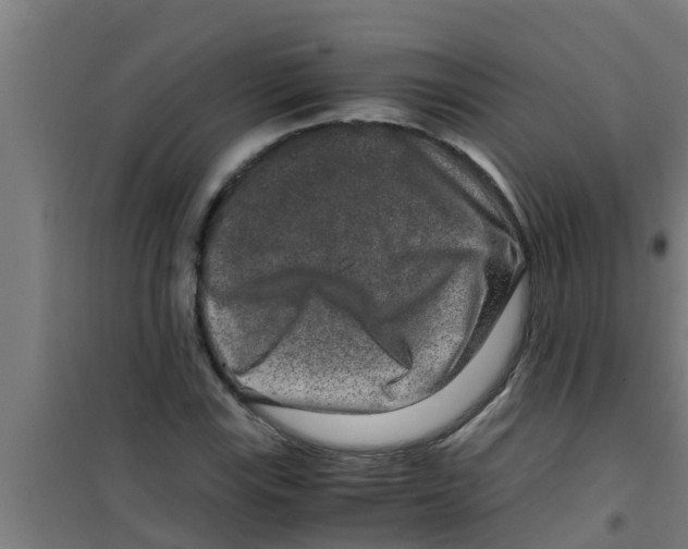 X0000100401115200807032006