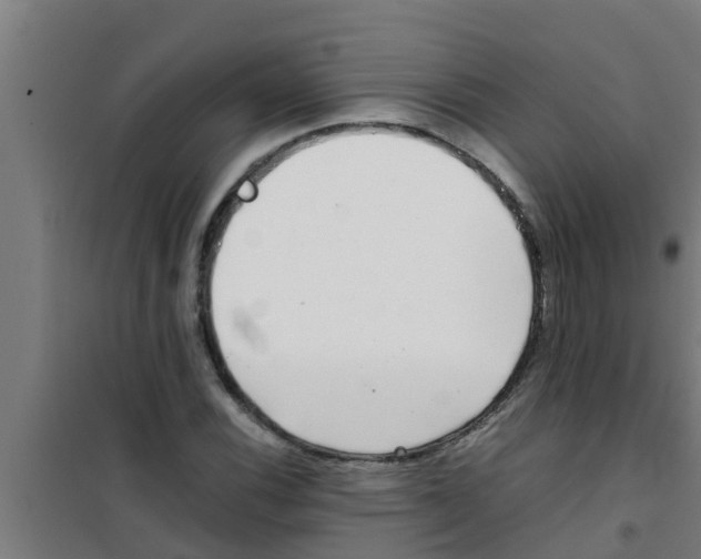 X0000100401116200807032006