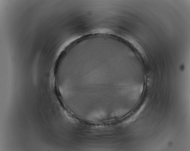 X0000100401117200807032006