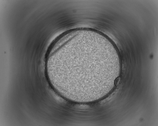 X0000100401119200807032006