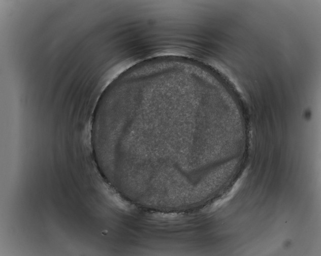 X0000100401121200807032007