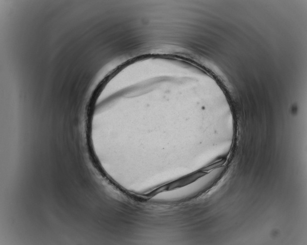 X0000100401122200807032007