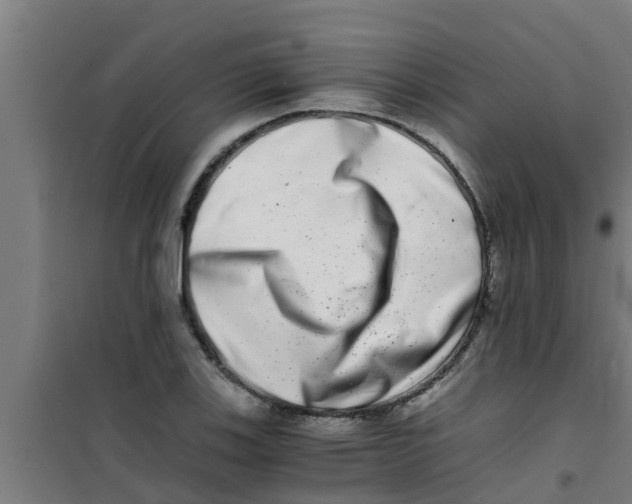 X0000100401123200807032007