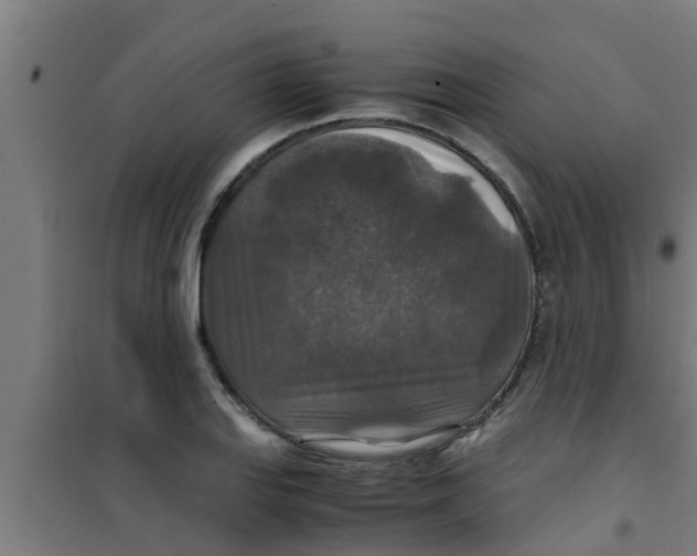 X0000100401127200807032007