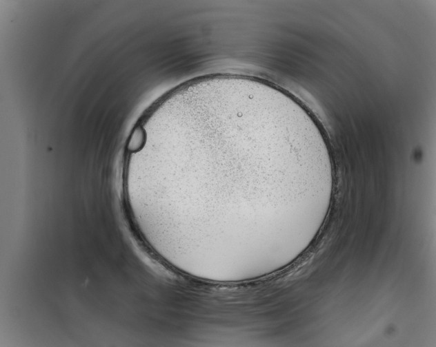 X0000100401128200807032007